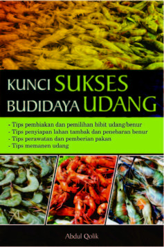 Kunci Sukses Budi Daya Udang